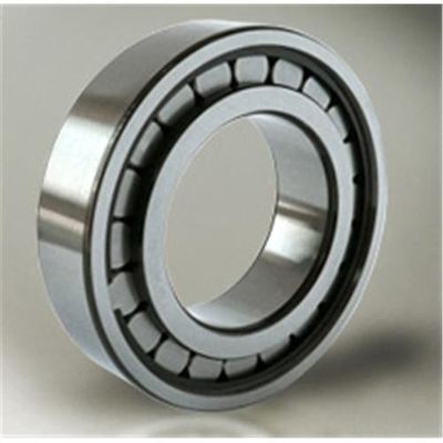 170mm SL183018 Double Row Cylindrical Roller Bearing