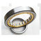 NU1021 NSK Cylindrical Roller Bearing For Vibrating Screens Lifting