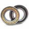 Carbon Steel NU203~NU244 110 mm Brass Cage Cylindrical Roller Bearings