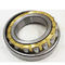 25X62X24mm NUP2305E Diamond Detector Roller Bearing